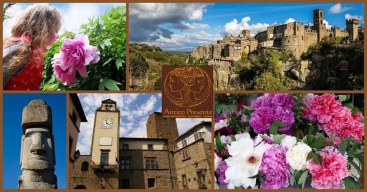 Апартаменты La Peonia Виторкьяно Экстерьер фото